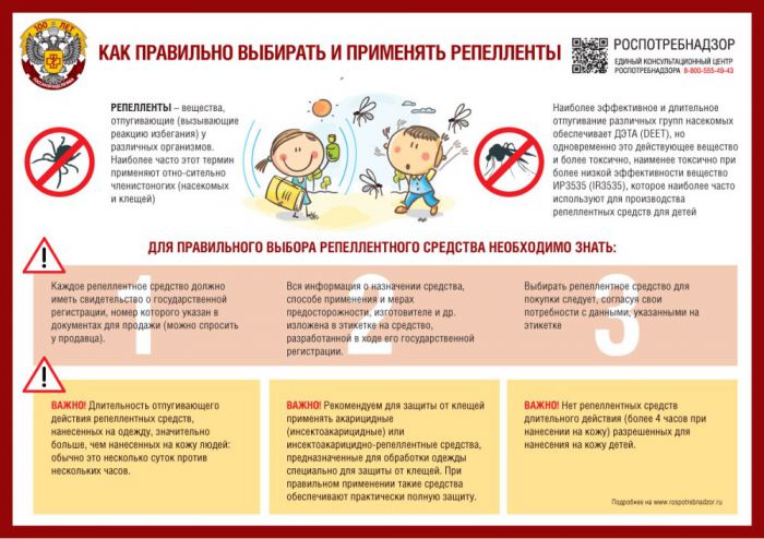 Управление Роспотребнадзора по Ярославской области информирует о проведении «горячей линии» по вопросам профилактики инфекций, передающихся клещами 